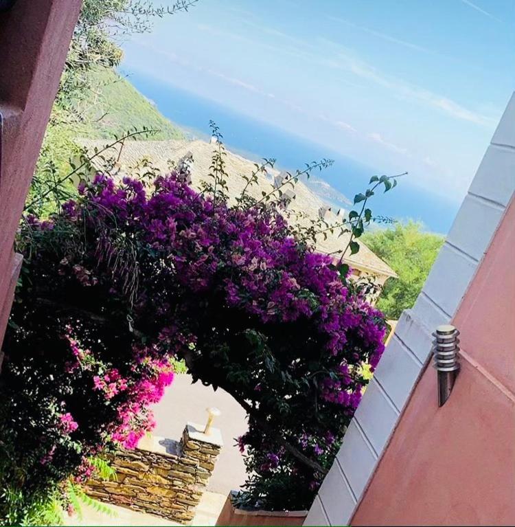 Hotel U Sant'agnellu Rogliano